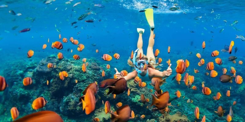 Cairo, Cruzeiro no Nilo e Sharm el Sheikh no Carnaval: Uma Experiência Inesquecível no Egito