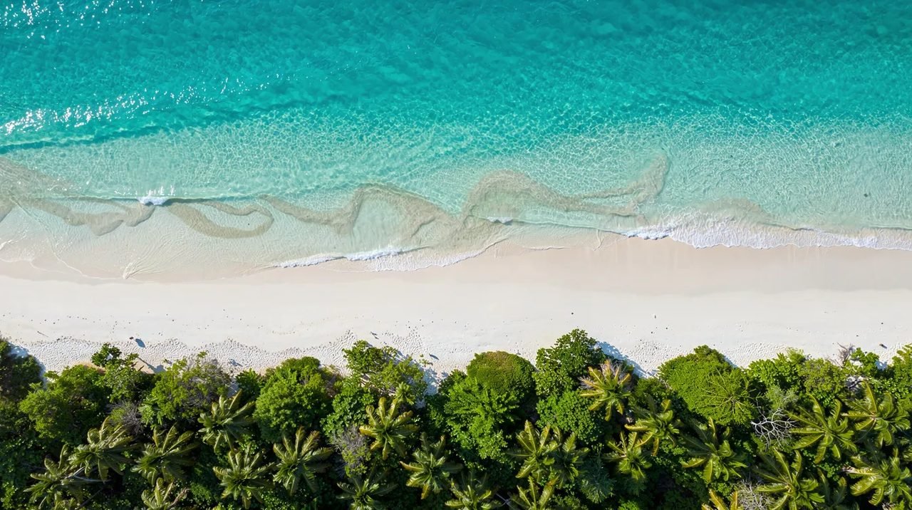 Vista aérea de um mar caribenho em azul turquesa, encontrando uma praia de areia branca cercada por vegetação tropical. Essa paisagem paradisíaca é um convite para férias em destinos como Curaçao, onde a beleza natural e as experiências à beira-mar se destacam.