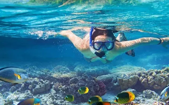 Mergulhadora de snorkel sobre o recife de coral no Mar Vermelho