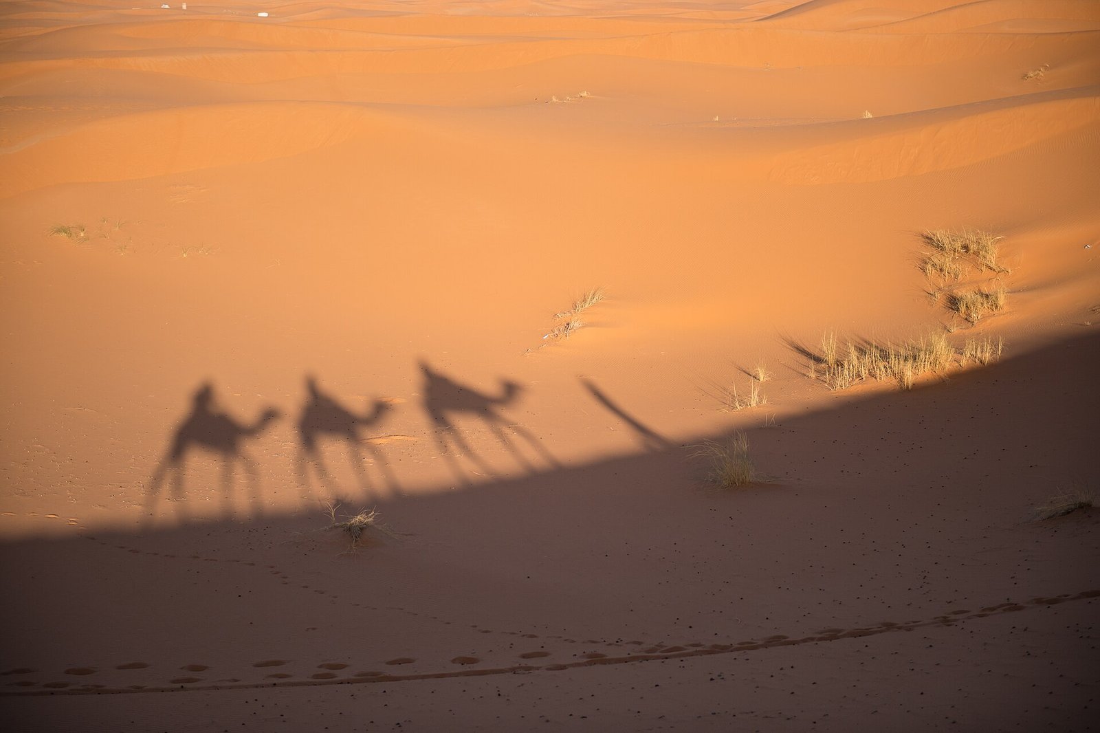 Marrocos — Cidades Imperiais & Deserto do Saara