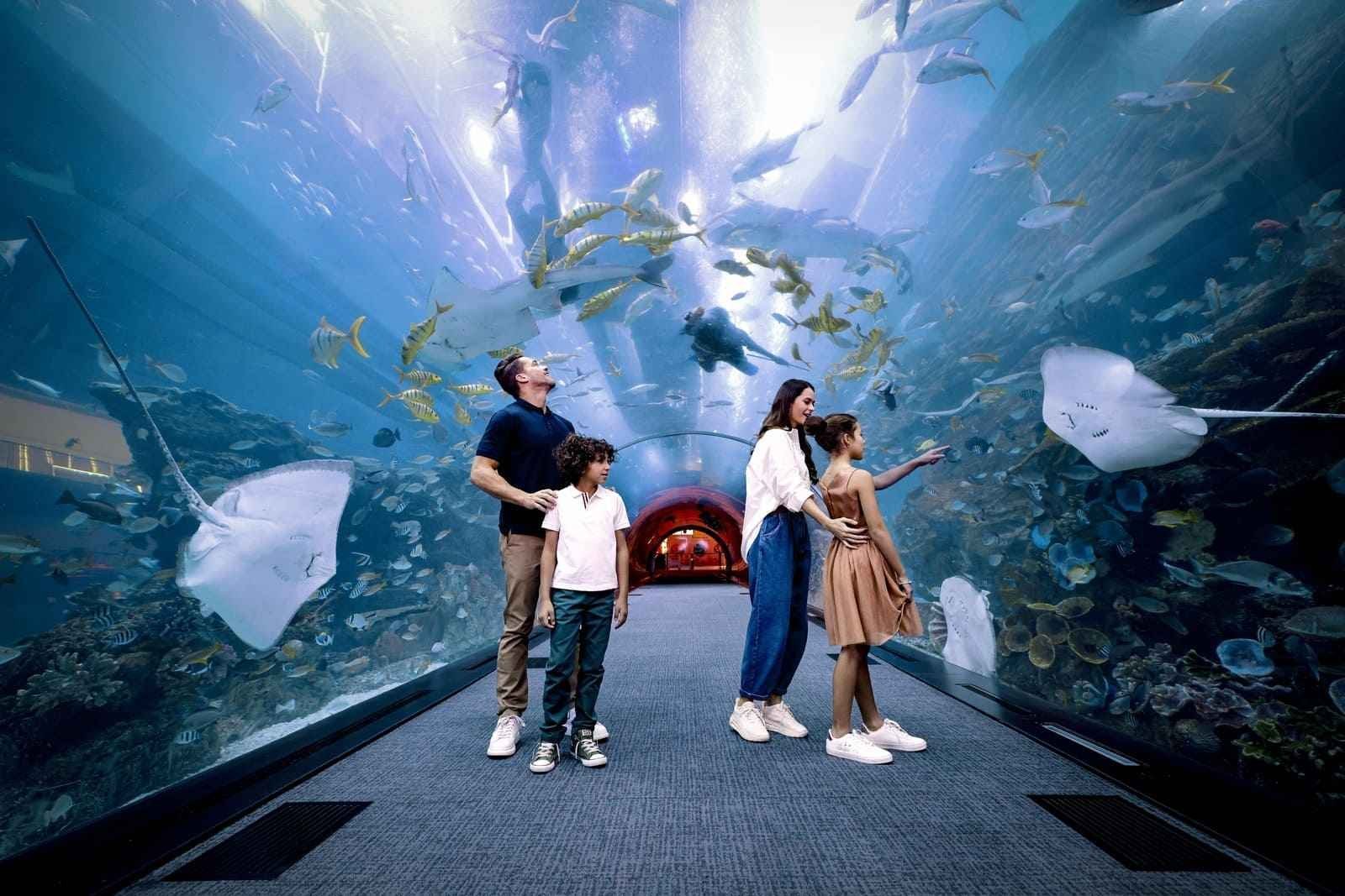 Compre seu Ingresso para Dubai Aquarium & Underwater Zoo nos Emirados Árabes: Uma Experiência Inesquecível por apenas 10X R$29,90
