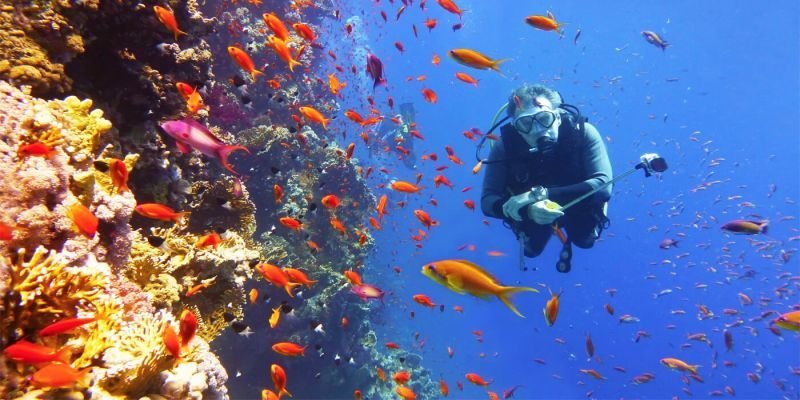 Extensão Sharm El Sheikh ( Mar vermelho ) Egito 4 Noites: o melhor lugar para fazer mergulho no mundo Conheça a História e Cultura – Saindo do Cairo por apenas 1899 R$ com Resort all inclusive 4*