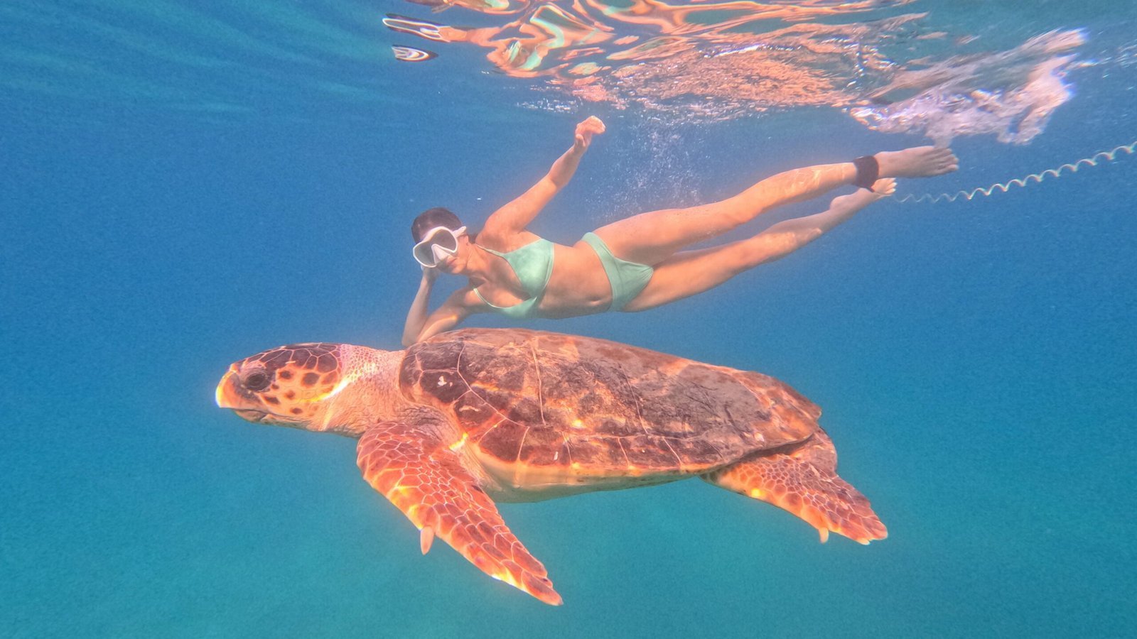 Passeio de Barco às Ilhas e Cavernas de Zakynthos na Grécia – Observação de tartarugas por apenas 10X R$99,90
