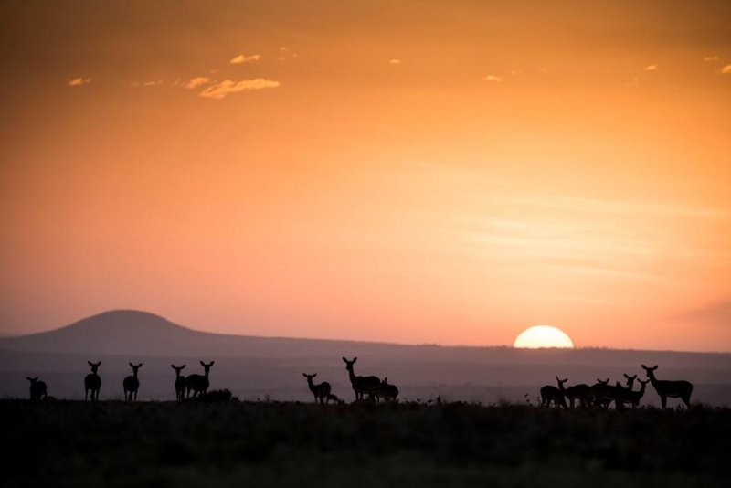 Através do Maasai Mara e além-1-6