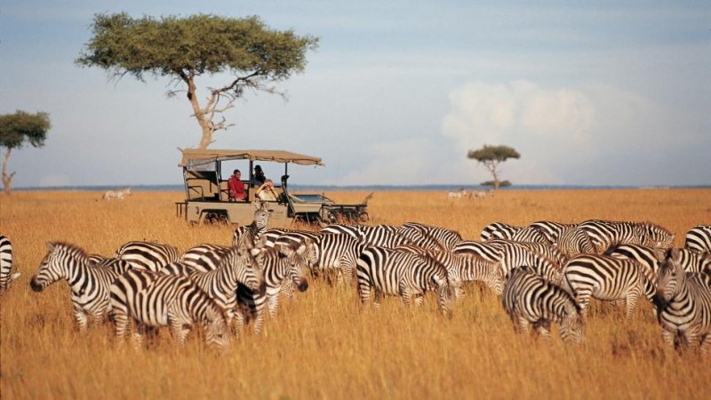 Através do Maasai Mara e além–4