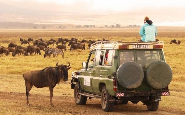 Em Upendi Tanzânia Safari Tour-2