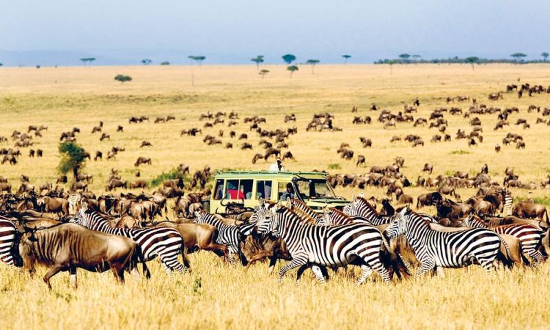Pacote Safari na Tanzânia (na cratera de Ngorongoro e além)-2