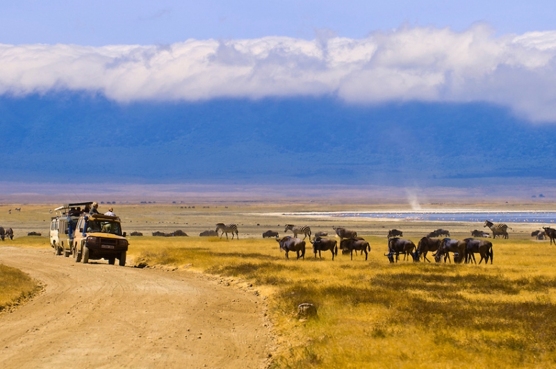 Pacote Safari na Tanzânia (na cratera de Ngorongoro e além)-3