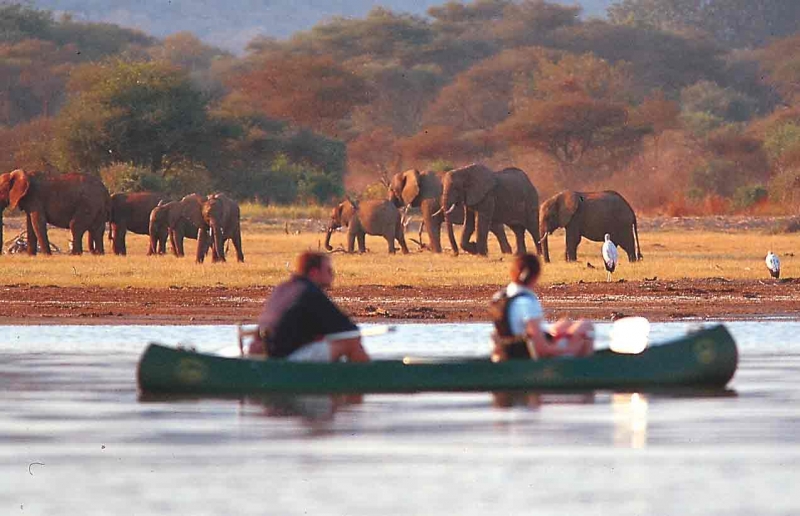 Pacote Safari na Tanzânia (na cratera de Ngorongoro e além)-9