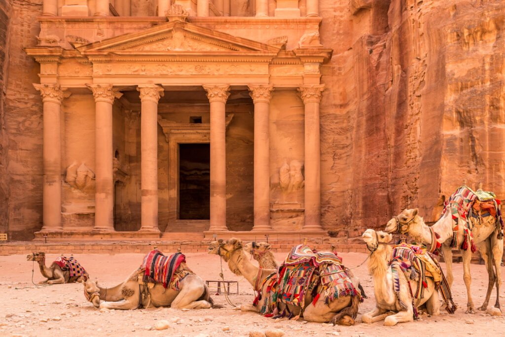 PETRA, JORDAN – JUNE 30, 2014: Camels resting near the ancient temple in Petra, Jordan